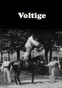 Voltige