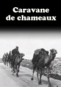 Locandina Caravane de chameaux