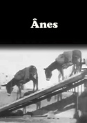 Ânes