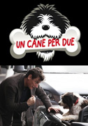 Locandina Un cane per due