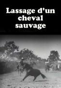 Lassage d'un cheval sauvage