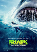 Shark - Il primo squalo