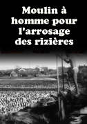 Moulin à homme pour l'arrosage des rizières