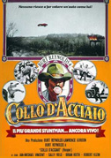 Collo d'acciaio