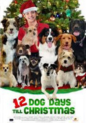 12 cani sotto l'albero