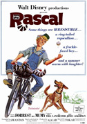 Rascal, l'orsetto lavatore