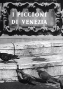 I piccioni di Venezia