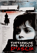 Tartarughe dal becco d'ascia
