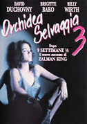 Orchidea selvaggia 3
