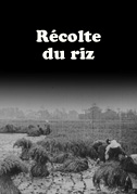 Locandina RÃ©colte du riz