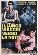 Il lungo viaggio verso la notte