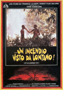 Locandina ...Un incendio visto da lontano! - Film (1989)