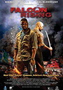 Falcon rising