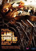 Camel spiders