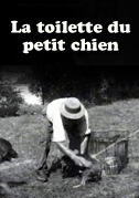 La toilette du petit chien