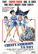 Locandina Chesty Anderson U.S. Navy