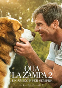 Locandina Qua la zampa 2 - Un amico è per sempre - Film (2019)