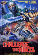 Challenge of the ninja