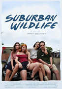 Suburban wildlife