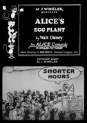 Alice's egg plant