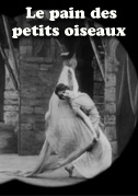 Il pane degli uccellini