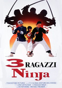3 ragazzi ninja