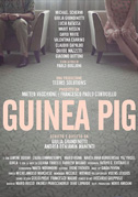 Guinea pig
