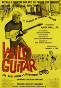 Wild guitar