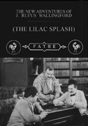 The Lilac splash