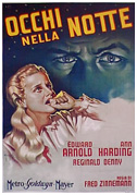 Occhi nella notte