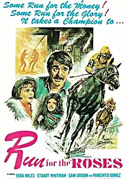 Il piccolo campione