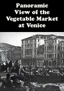 Panoramic view of the vegetable market at Venice