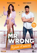 Mr. Wrong - Lezioni d'amore