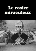 Le rosier miraculeux
