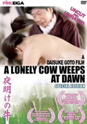 A lonely cow weeps at dawn