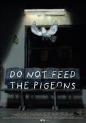 Do not feed the pigeons