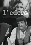 L'edera