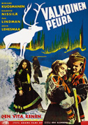 Il bianco pastore di renne