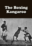 Locandina The boxing kangaroo