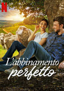 Locandina L'abbinamento perfetto