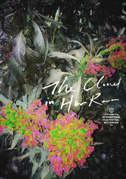 The cloud in her room