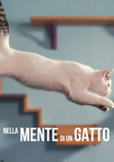 Nella mente di un gatto