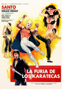 The fury of the karate experts