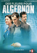 Locandina Des fleurs pour Algernon