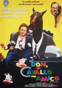 Don, un cavallo per amico