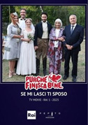 Se mi lasci ti sposo