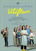 Wildflower