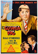 The Guinea pig