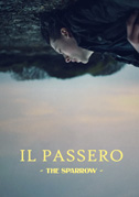 Il passero – The sparrow