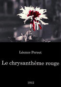 Le chrysanthème rouge